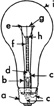 incandescent