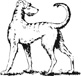 Irish wolfhound