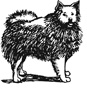 keeshond