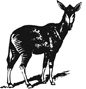 okapi